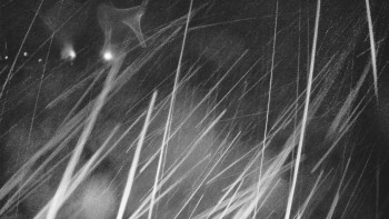 Snímek    3.11.2025 v 04:16