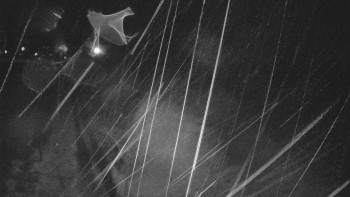 Snímek    3.11.2025 v 04:33