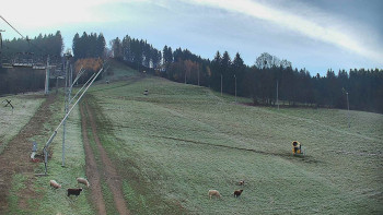 Snímek 5.11.2025 v 08:00