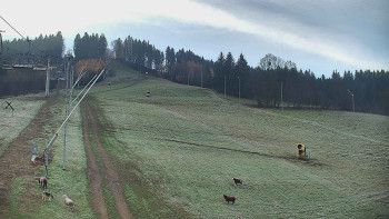 Snímek 5.11.2025 v 08:03