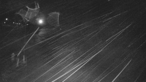 Skiareál Karolinka - Sjezdovka Karolinka - 13.2.2026 v 01:03 Skiareál Karolinka - Sjezdovka Karolinka - 13.2.2026 v 01:03