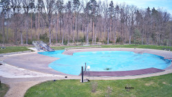 Koupaliště Borek