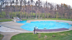 Koupaliště Borek