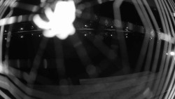 Nábřeží, přístaviště