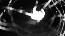 Nábřeží, přístaviště