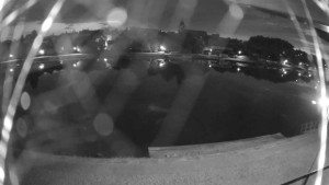 Město Týn nad Vltavou - Nábřeží, přístaviště - 31.7.2026 v 04:45 Město Týn nad Vltavou - Nábřeží, přístaviště - 31.7.2026 v 04:45