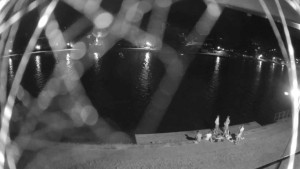 Stadt Týn nad Vltavou - Uferpromenade, Anlegestelle - 31.7.2026 v 22:45 Stadt Týn nad Vltavou - Uferpromenade, Anlegestelle - 31.7.2026 v 22:45
