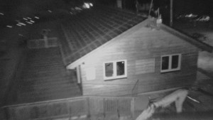 Skiareál Troják - Pujcovna ve Skiareálu na Trojáku - 26.4.2026 v 01:00 Skiareál Troják - Pujcovna ve Skiareálu na Trojáku - 26.4.2026 v 01:00