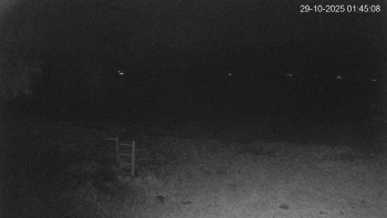 Snímek    29.10.2025 v 01:45