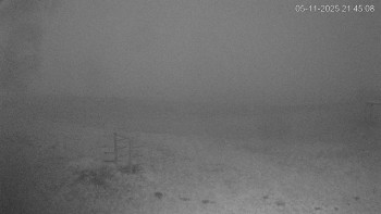 Snímek 5.11.2025 v 21:45