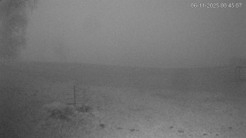 Snímek 6.11.2025 v 00:45