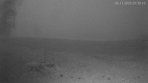 Černá v Pošumaví - Lipno - 6.11.2025 v 03:30 Černá v Pošumaví - Lipno - 6.11.2025 v 03:30