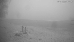 Černá v Pošumaví - Lipno - 6.11.2025 v 06:30 Černá v Pošumaví - Lipno - 6.11.2025 v 06:30