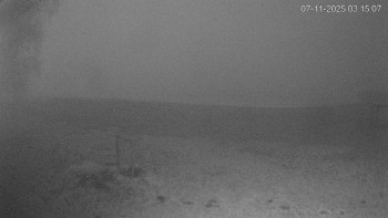 Snímek 7.11.2025 v 03:15