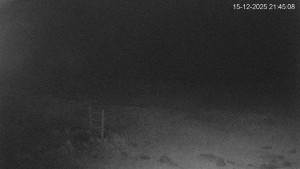 Černá v Pošumaví - Lipno - 15.12.2025 v 21:45 Černá v Pošumaví - Lipno - 15.12.2025 v 21:45