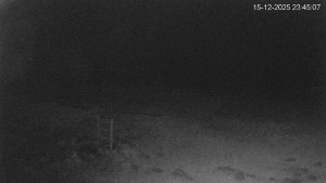 Černá v Pošumaví - Lipno - 15.12.2025 v 23:45 Černá v Pošumaví - Lipno - 15.12.2025 v 23:45