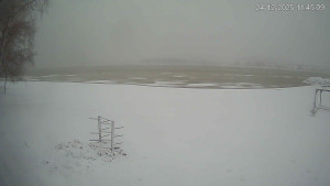 Černá v Pošumaví - Lipno - 24.12.2025 v 11:45 Černá v Pošumaví - Lipno - 24.12.2025 v 11:45