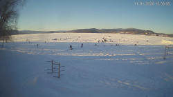 Lipno