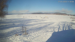 Lipno