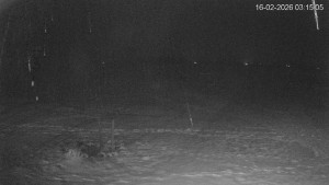 Černá v Pošumaví - Lipno - 16.2.2026 v 03:15 Černá v Pošumaví - Lipno - 16.2.2026 v 03:15