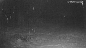 Černá v Pošumaví - Lipno - 16.2.2026 v 03:30 Černá v Pošumaví - Lipno - 16.2.2026 v 03:30