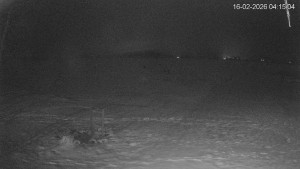 Černá v Pošumaví - Lipno - 16.2.2026 v 04:15 Černá v Pošumaví - Lipno - 16.2.2026 v 04:15