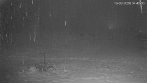 Černá v Pošumaví - Lipno - 16.2.2026 v 04:45 Černá v Pošumaví - Lipno - 16.2.2026 v 04:45