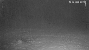 Černá v Pošumaví - Lipno - 16.2.2026 v 05:00 Černá v Pošumaví - Lipno - 16.2.2026 v 05:00