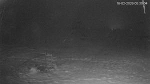 Černá v Pošumaví - Lipno - 16.2.2026 v 05:30 Černá v Pošumaví - Lipno - 16.2.2026 v 05:30