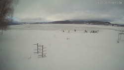 Lipno