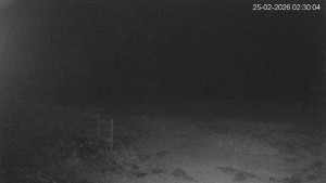 Černá v Pošumaví - Lipno - 25.2.2026 v 02:30 Černá v Pošumaví - Lipno - 25.2.2026 v 02:30