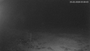 Černá v Pošumaví - Lipno - 25.2.2026 v 03:00 Černá v Pošumaví - Lipno - 25.2.2026 v 03:00