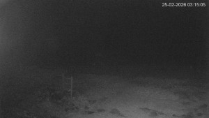 Černá v Pošumaví - Lipno - 25.2.2026 v 03:15 Černá v Pošumaví - Lipno - 25.2.2026 v 03:15