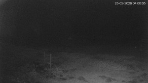 Černá v Pošumaví - Lipno - 25.2.2026 v 04:00 Černá v Pošumaví - Lipno - 25.2.2026 v 04:00