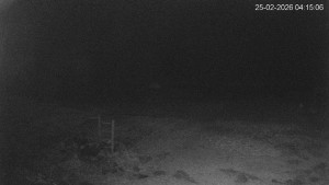 Černá v Pošumaví - Lipno - 25.2.2026 v 04:15 Černá v Pošumaví - Lipno - 25.2.2026 v 04:15