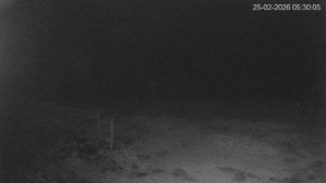 Černá v Pošumaví - Lipno - 25.2.2026 v 05:30 Černá v Pošumaví - Lipno - 25.2.2026 v 05:30