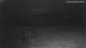 Černá v Pošumaví - Lipno - 2.4.2026 v 05:00 Černá v Pošumaví - Lipno - 2.4.2026 v 05:00