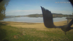 Lipno