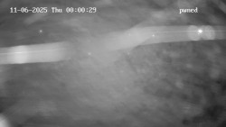 Hlavní bazén, divoká řeka