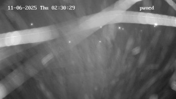 Snímek 6.11.2025 v 02:30