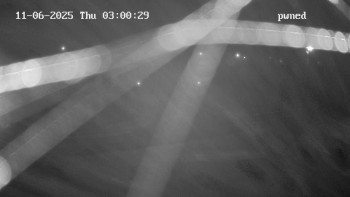 Snímek 6.11.2025 v 03:00