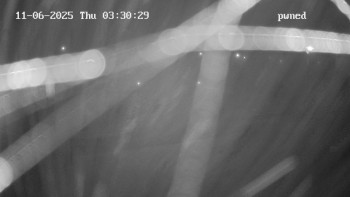 Snímek 6.11.2025 v 03:30