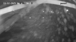 Hlavní bazén, divoká řeka