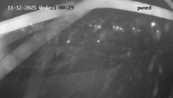 Hlavní bazén, divoká řeka