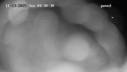 Hlavní bazén, divoká řeka