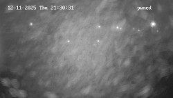 Hlavní bazén, divoká řeka