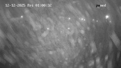 Hlavní bazén, divoká řeka