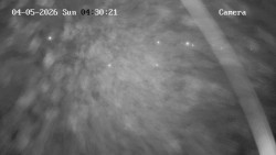 Hlavní bazén, divoká řeka