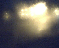 Přístaviště Petrov