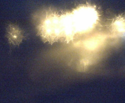 Přístaviště Petrov